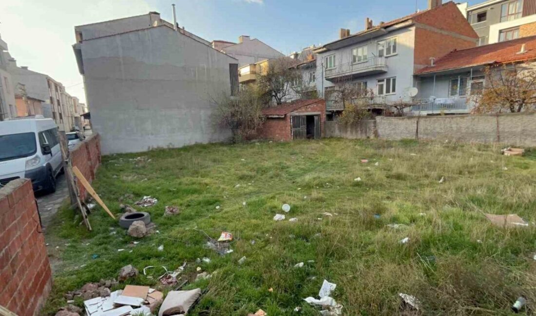 Eskişehir’de bir boş arazide 8 kedi ölüsü bulundu. Tepebaşı ilçesine