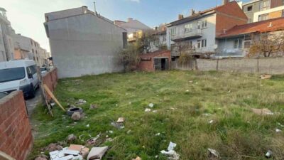 Eskişehir’de bir boş arazide 8 kedi ölüsü bulundu. Tepebaşı ilçesine