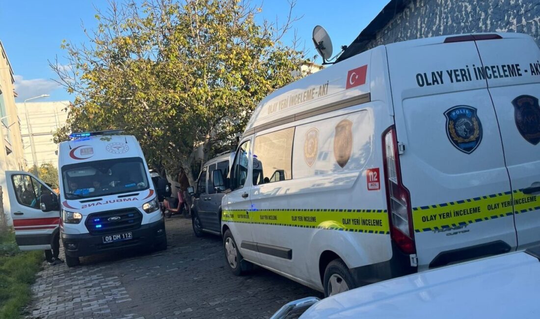 Efeler ilçesinde ikamet eden 65 yaşındaki İbrahim Yerlikaya, evinin bahçesinde