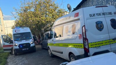 Efeler ilçesinde ikamet eden 65 yaşındaki İbrahim Yerlikaya, evinin bahçesinde