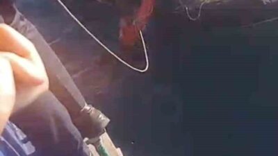 Çanakkale’nin Bozcaada-Geyikli arasında sefer yapan feribotta bir kişinin denize atladığı,