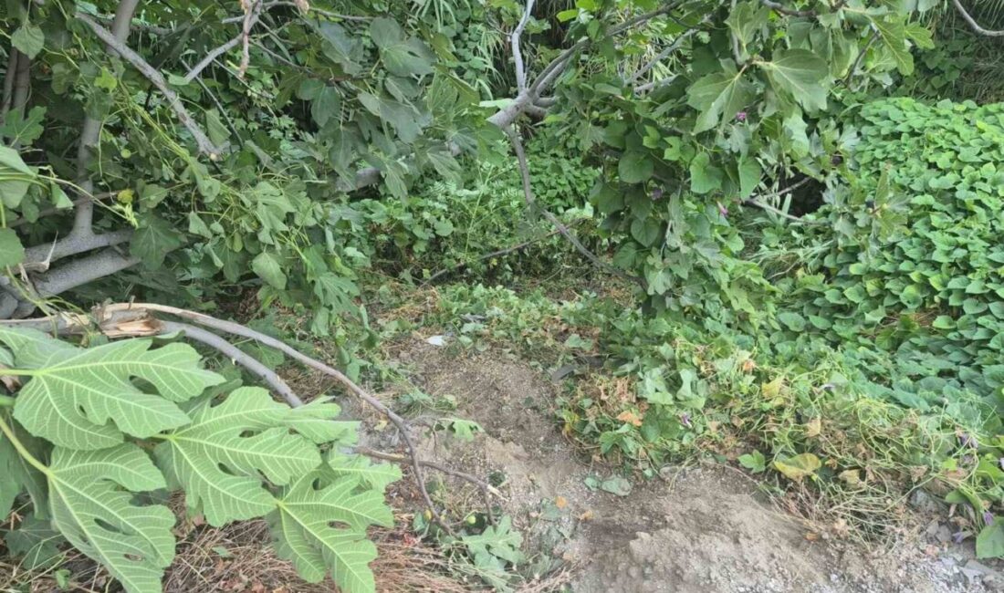 Fethiye’de yaşanan acı olayda, polis takibinden kaçmaya çalışırken motosikletiyle dere