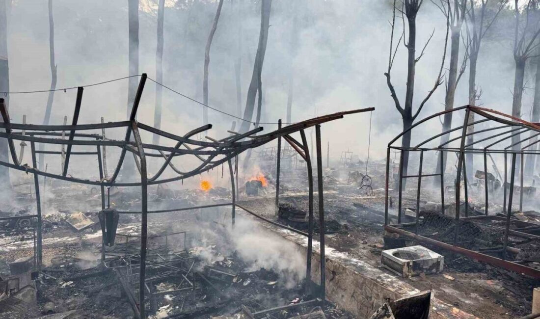 Muğla’nın Fethiye ilçesinde bulunan bir karavan ve bungalov alanında çıkan