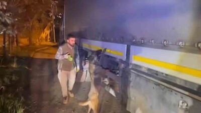 Gaziantep’te gerçekleştirilen uyuşturucu operasyonlarında 61 kilogram uyuşturucu madde ve 7