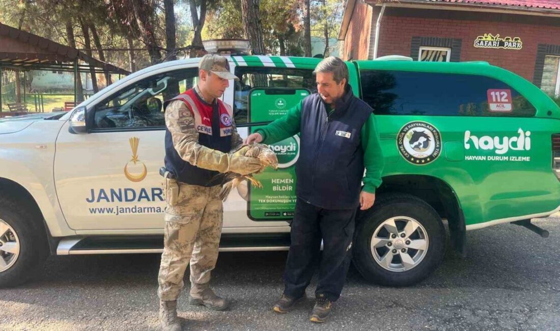 Gaziantep’te Jandarma ekipleri tarafından yorgun ve yaralı halde bulunan bir
