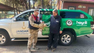 Gaziantep’te Jandarma ekipleri tarafından yorgun ve yaralı halde bulunan bir