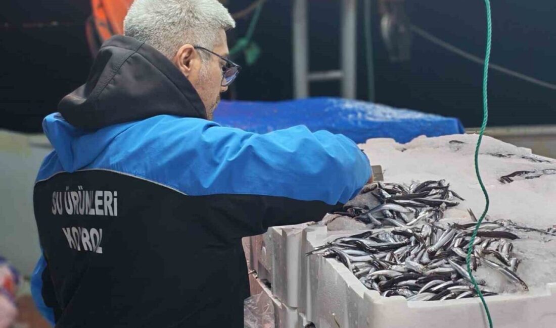 Gelibolu ilçesinde gerçekleştirilen denetimlerde sürdürülebilir su ürünleri avcılığı faaliyeti sırasında