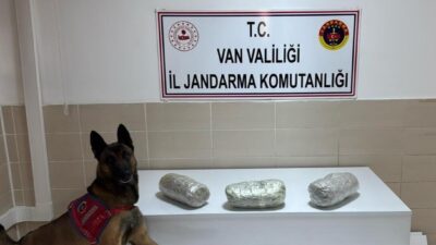 Van’ın Gevaş ilçesinde jandarma ekiplerinin yürüttüğü operasyonda 3 kilogram esrar