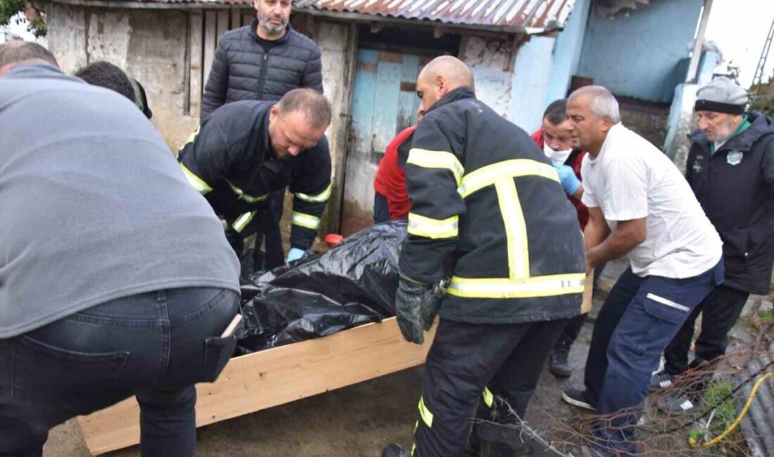 Görele ilçesine bağlı Aydınlıkevler Mahallesi’nde meydana gelen yangında, 83 yaşındaki