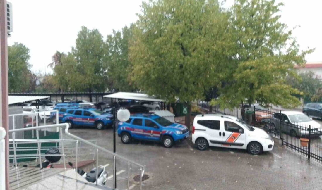Muğla merkezli 8 ilde gerçekleştirilen bir göçmen kaçakçılığı operasyonunda gözaltına