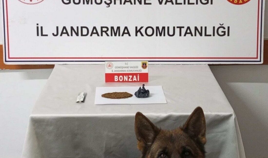 Gümüşhane’de, jandarma birimi tarafından gerçekleştirilen operasyonda 2 kişi yakalanarak gözaltına