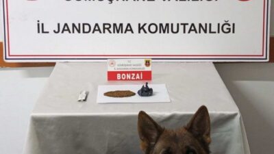 Gümüşhane’de, jandarma birimi tarafından gerçekleştirilen operasyonda 2 kişi yakalanarak gözaltına