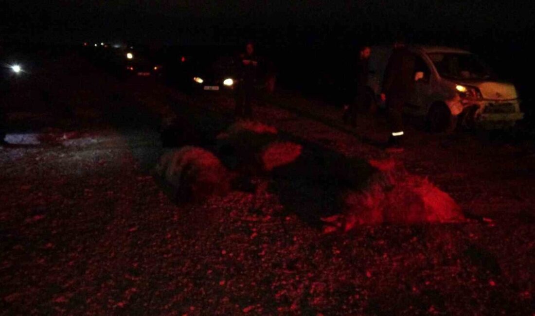 Malatya’nın Yeşilyurt ilçesinde meydana gelen bir kazada hafif ticari aracın