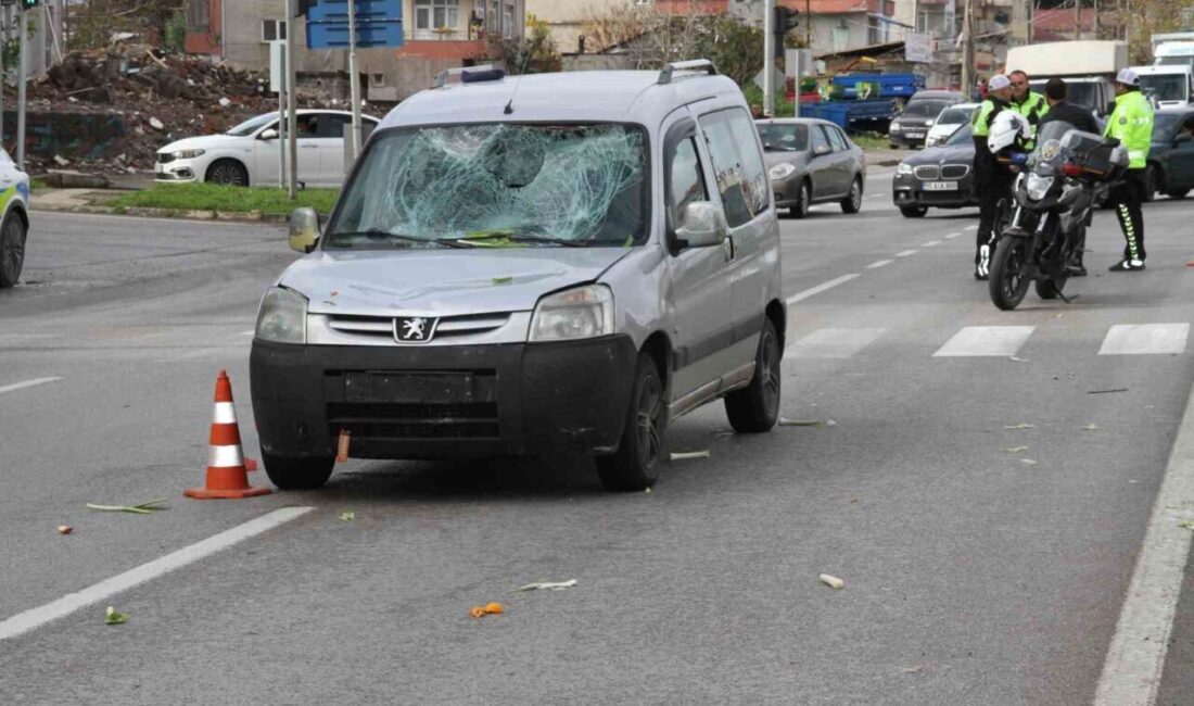 Samsun’un Çarşamba ilçesinde, pazar alışverişi için evine dönen 77 yaşındaki