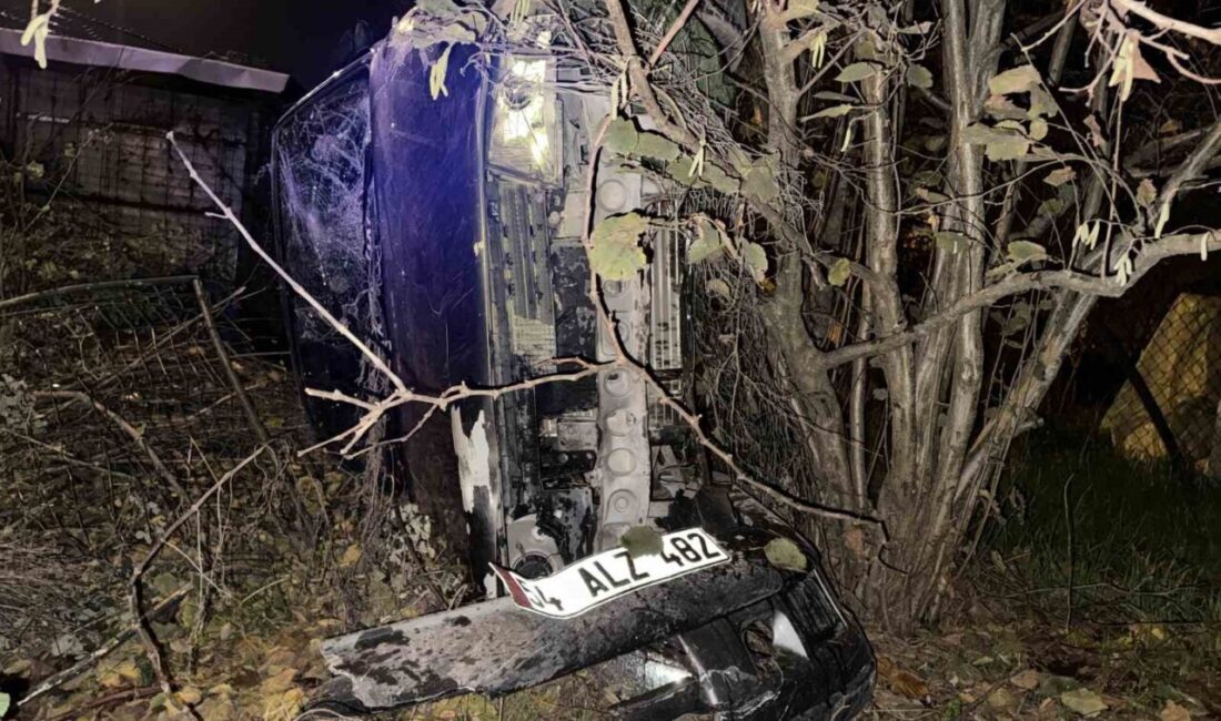 Adapazarı ilçesinde meydana gelen trafik kazasında, bir hafif ticari araç