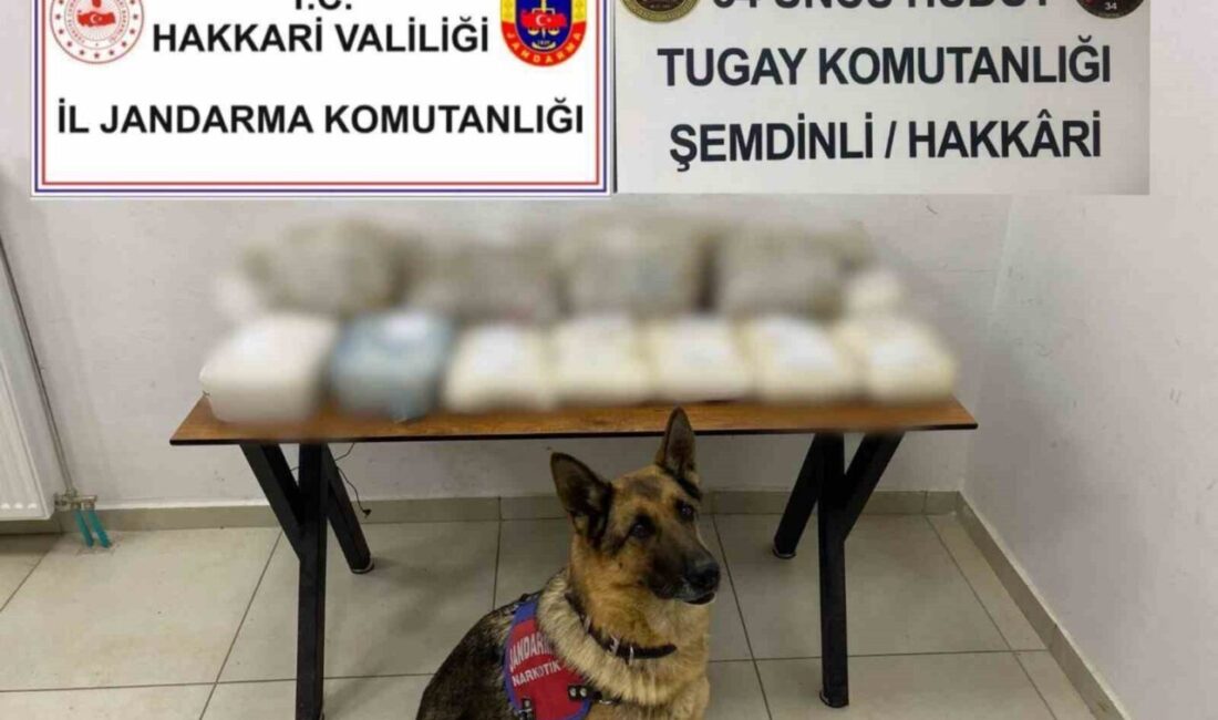 Hakkari’nin Şemdinli ilçesinde gerçekleştirilen operasyonda güvenlik güçleri tarafından 2 çuval