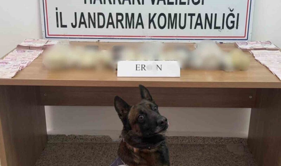 Hakkari’de Jandarma ekipleri tarafından gerçekleştirilen aramada, bir otomobilde yapılan incelemede