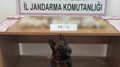 Hakkari’de Jandarma ekipleri tarafından gerçekleştirilen aramada, bir otomobilde yapılan incelemede