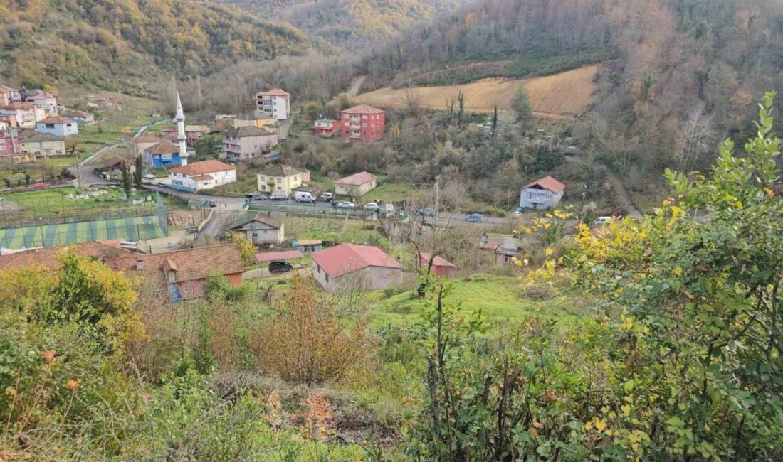 Zonguldak’ta yaşanan acı olayda, boşanma sürecindeki eşine karşı şiddet uygulayan