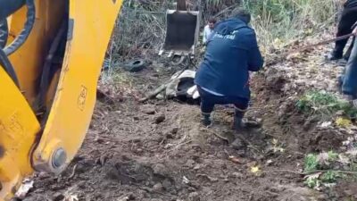 Kırıkhan ilçesinde, Torun Mahallesi’nde otlarken dereye düşen bir inek, sahibine