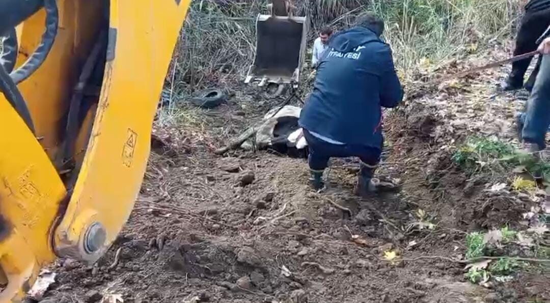 Kırıkhan ilçesinde, Torun Mahallesi’nde otlarken dereye düşen bir inek, sahibine