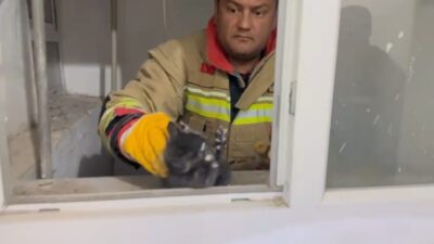 Hatay’ın Arsuz ilçesinde bir binanın havalandırma boşluğunda mahsur kalan yavru