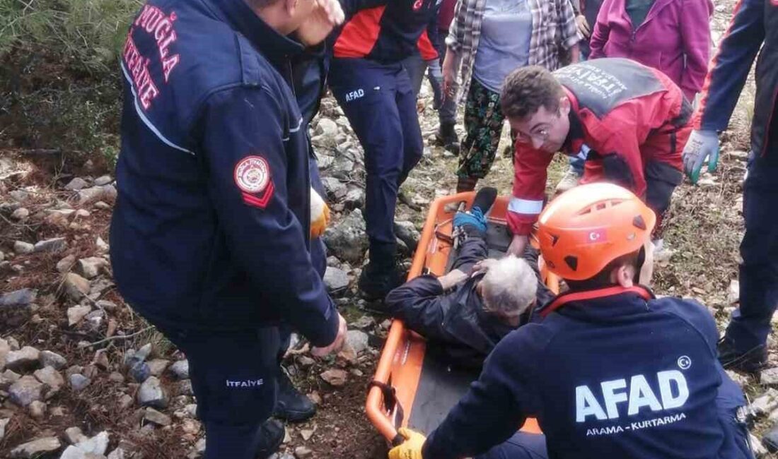 Muğla’nın Menteşe ilçesine bağlı Sarnıç Mahallesi’nde hayvanlarını otlatan 72 yaşındaki