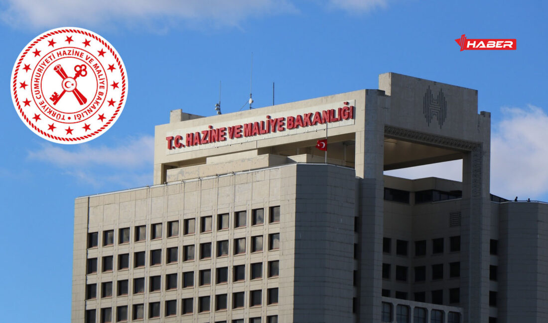 Hazine ve Maliye Bakanlığı, Vergi Denetim Kurulu Başkanlığı bünyesinde görevlendirilmek