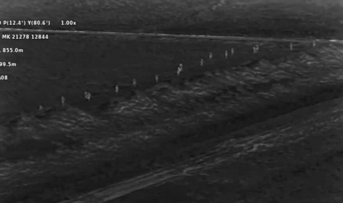 Göçmen Kaçakçılığıyla Mücadele ve Hudut Kapıları Şube Müdürlüğü ekipleri, düzensiz