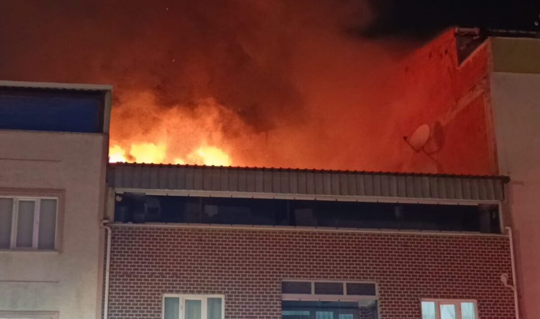 Bursa’nın İnegöl ilçesinde meydana gelen bir olayda, bir evin çatısında