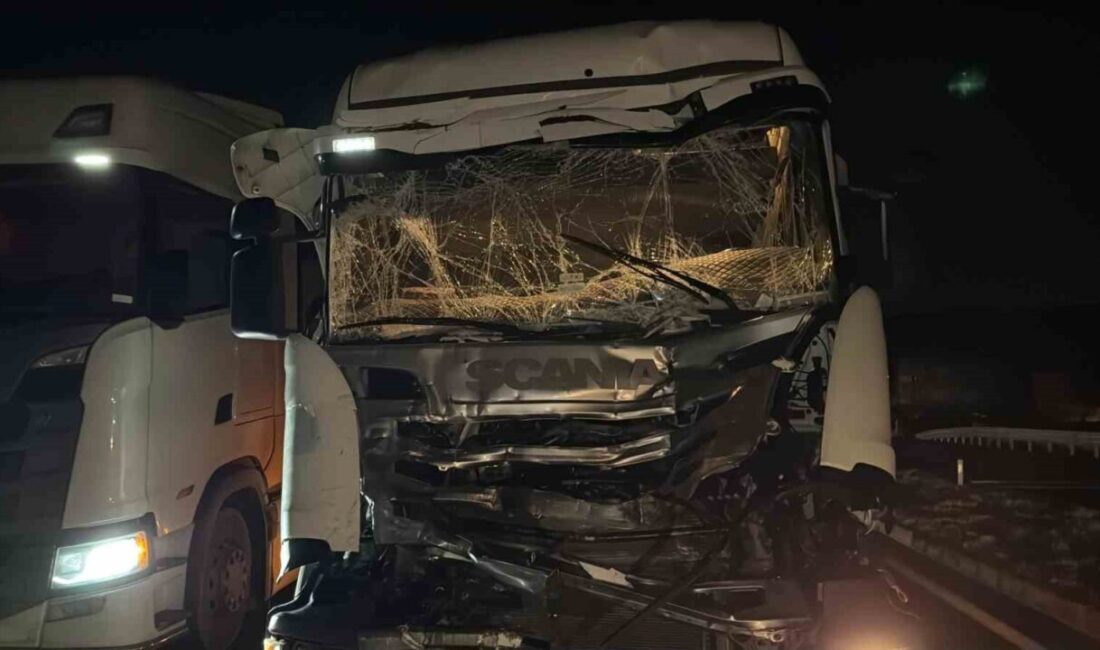 Afyonkarahisar’da, Bolvadin ilçesi Kemerkaya beldesi yakınlarında meydana gelen trafik kazasında