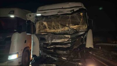 Afyonkarahisar’da, Bolvadin ilçesi Kemerkaya beldesi yakınlarında meydana gelen trafik kazasında