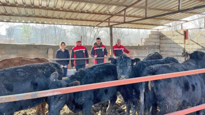 Tarım ve Orman Bakanlığı tarafından hayvancılık sektörünü güçlendirmek amacıyla hayata
