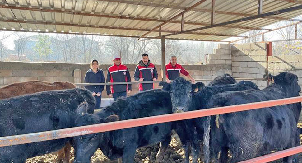 Tarım ve Orman Bakanlığı tarafından hayvancılık sektörünü güçlendirmek amacıyla hayata