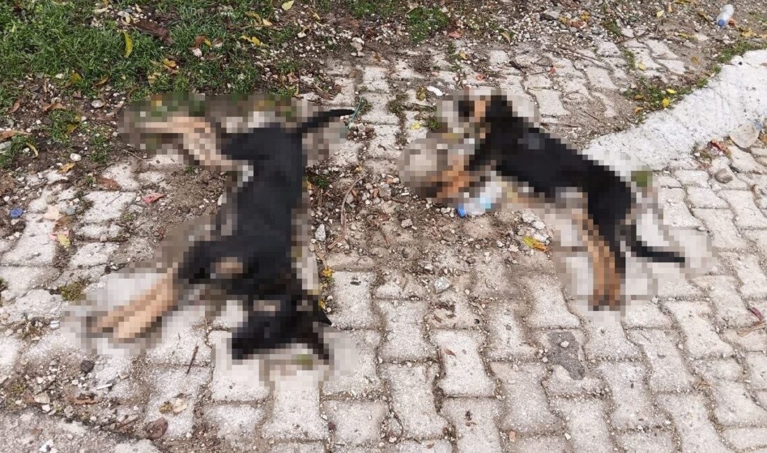 Isparta Valiliği, Yalvaç ilçesine bağlı Hisarardı köyünde meydana gelen ardı