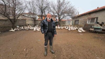 Yozgat’ın Şefaatli ilçesine İstanbul’dan geri dönen Hasan Şahan, kanatlı hayvan