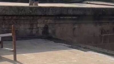 Şanlıurfa’nın Eyyübiye ilçesinde, bir kişi Rızvaniye Camii’nden Balıklıgöl’e atladı. Olay,
