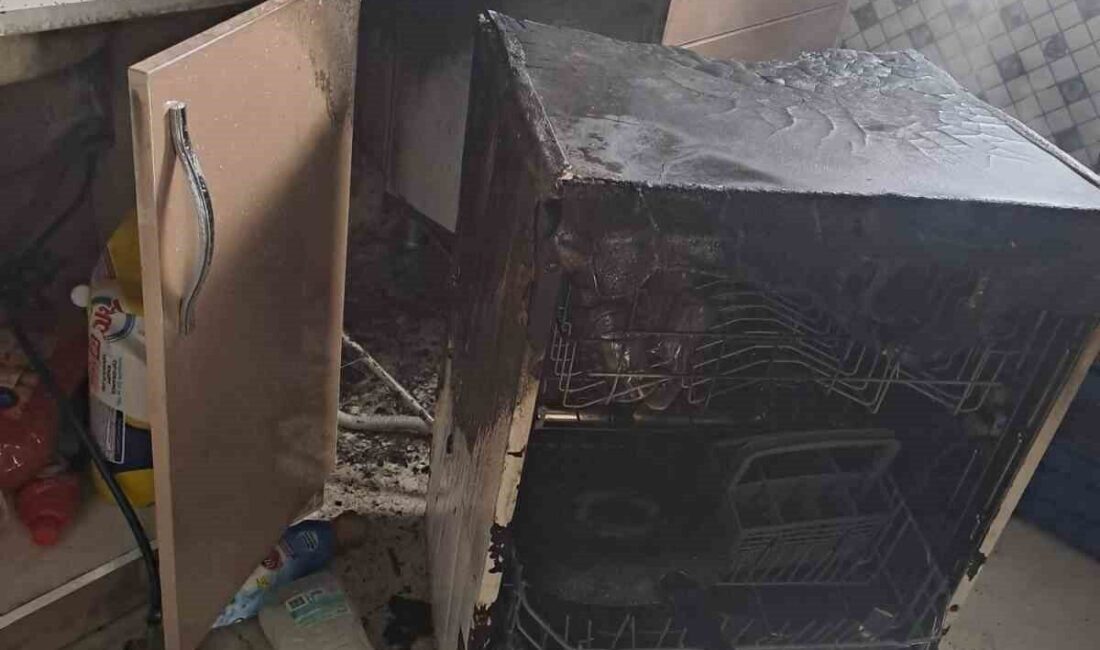 Aydın’ın İncirliova ilçesinde, Acarlar Mahallesi’ndeki bir evde bulaşık makinesinden çıkan