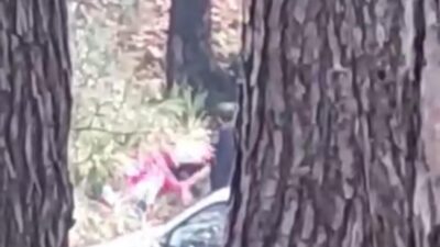 Buca ilçesindeki ormanlık alanda, bir kadın kimliği belirsiz bir saldırgan