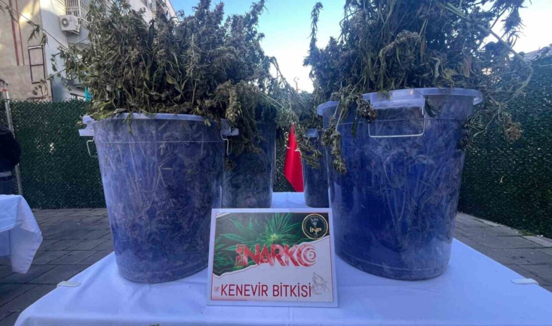 İzmir’de gerçekleştirilen operasyonlarda, Narkotik Suçlarla Mücadele Şube Müdürlüğü ekipleri tarafından