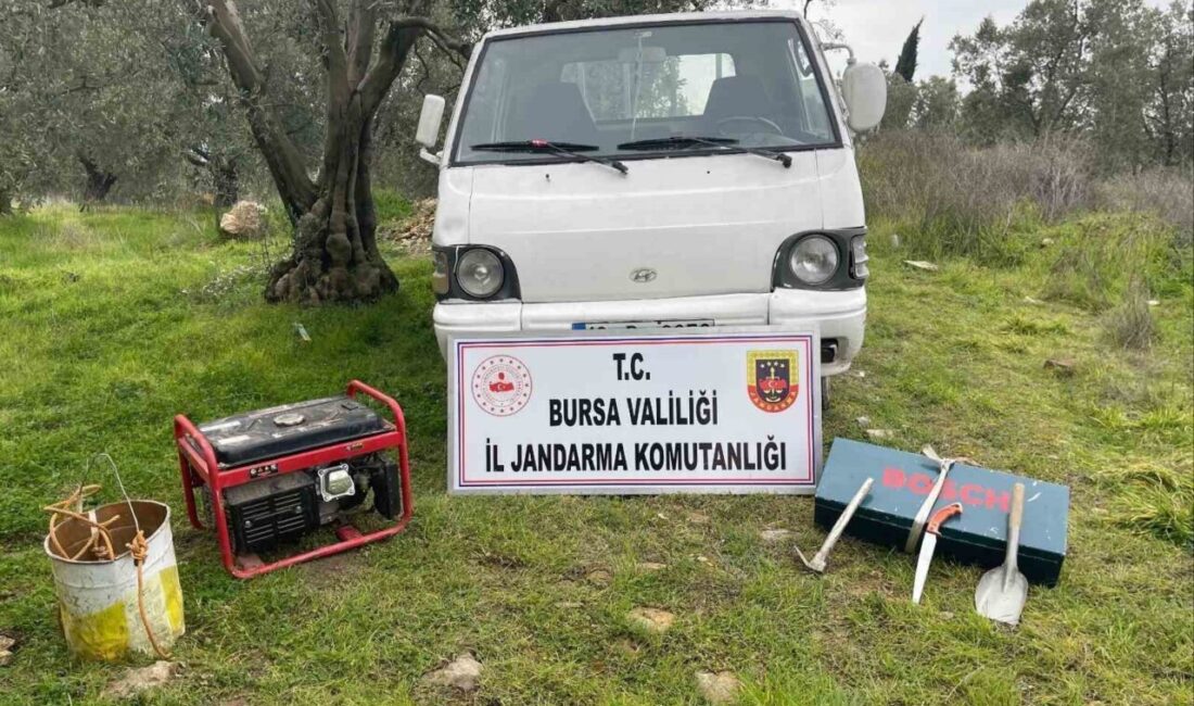 İznik ilçesinde kaçak kazı yapıldığı iddia edilen 2 kişi, jandarma