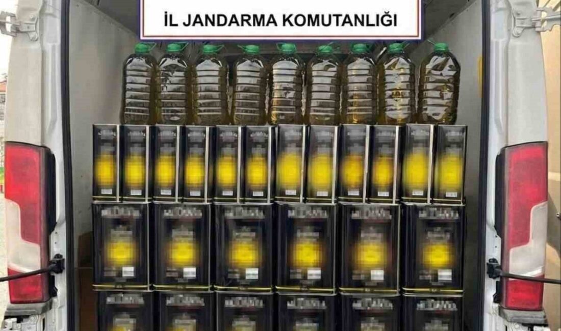 Afyonkarahisar’da Jandarma ekipleri tarafından durdurulan bir kamyonette yapılan aramada 655