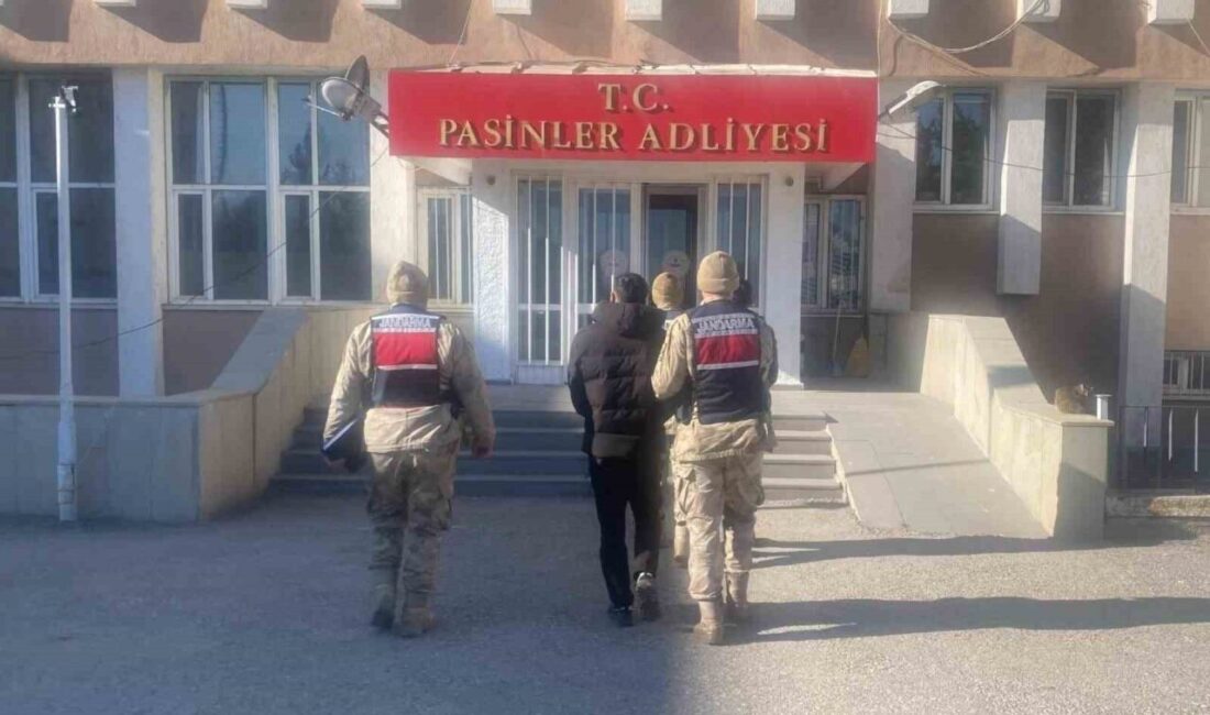 Erzurum’un Köprüköy ilçesinde gerçekleşen büyükbaş hayvan hırsızlığıyla ilgili 2 şüpheli,