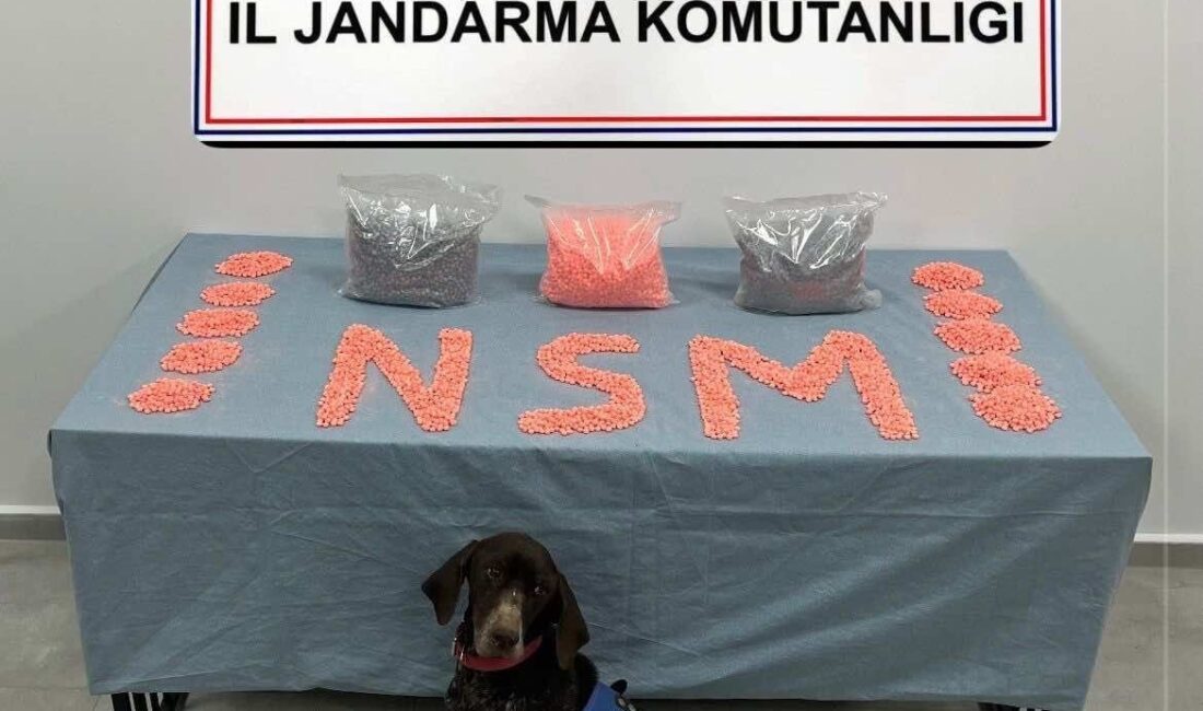 Denizli’ye büyük miktarda uyuşturucu hap taşıdığı tespit edilen şüpheli, Jandarma