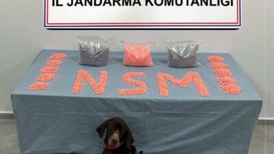 Denizli’ye büyük miktarda uyuşturucu hap taşıdığı tespit edilen şüpheli, Jandarma