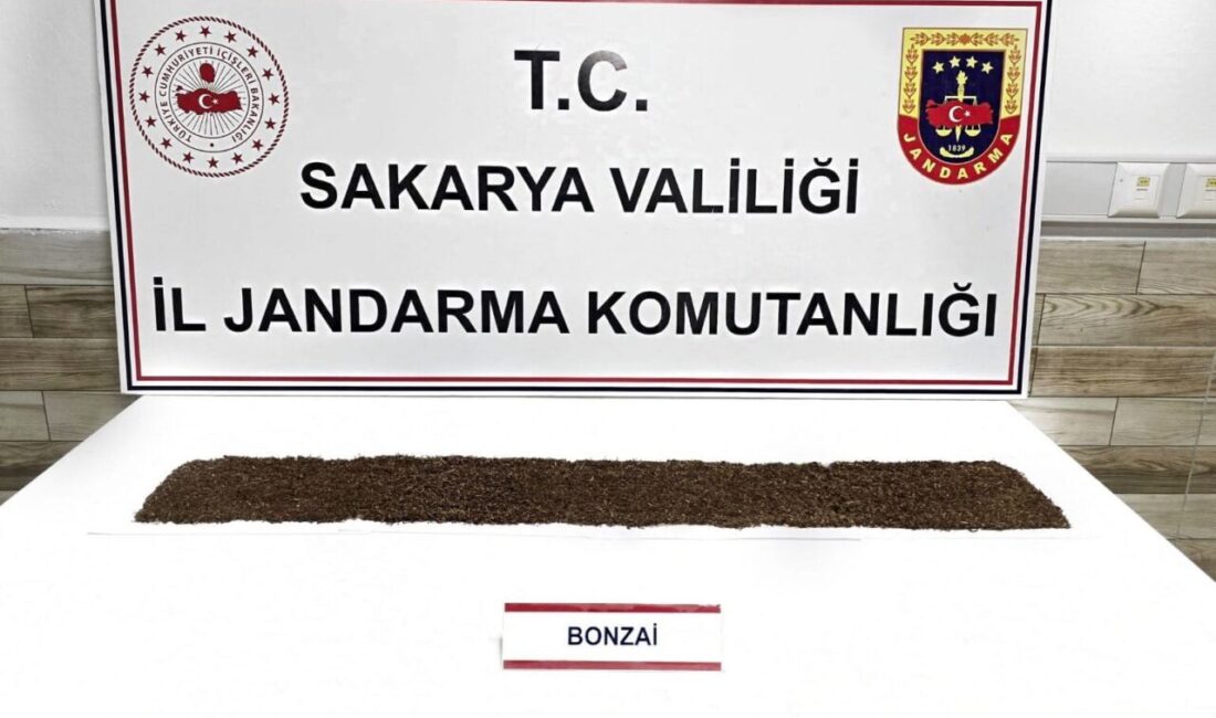 Sakarya’nın Karasu ilçesinde jandarma ekipleri tarafından gerçekleştirilen uyuşturucu operasyonunda yakalanan