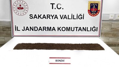 Sakarya’nın Karasu ilçesinde jandarma ekipleri tarafından gerçekleştirilen uyuşturucu operasyonunda yakalanan