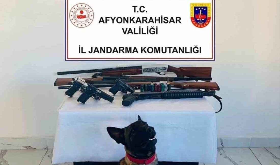 Afyonkarahisar’da jandarma ekipleri tarafından gerçekleştirilen operasyonda 7 adet ruhsatsız silah