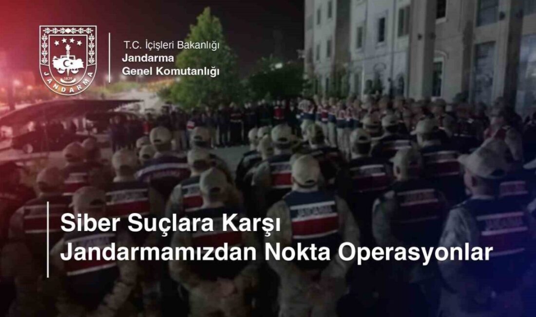 Jandarma Genel Komutanlığı tarafından 8 ilde gerçekleştirilen operasyonlarla ‘Siber Dolandırıcılık’