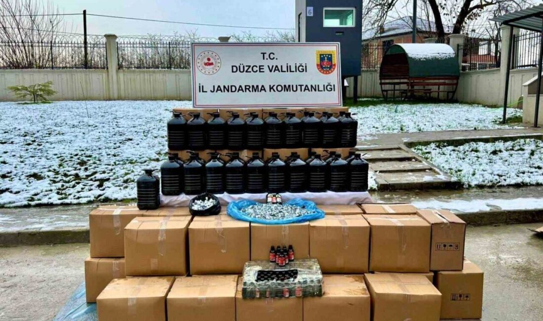 Düzce İl Jandarma Komutanlığı KOM Şubesi ekipleri, yeni yıl öncesi